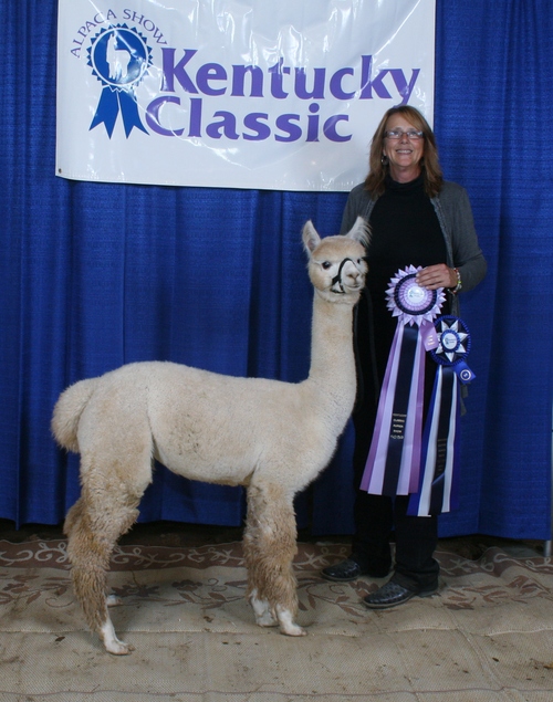 TP Heavenly Touche' wins 1st and Reserve at her first show!