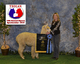 TP Jubilee's Justice--Best Bred and Owned Female