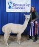 2nd and Reserve Champion