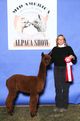 Sakura wins 2nd at Mid America Alpaca Show