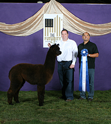 2009 Futurity Show and Sale
