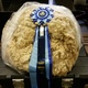 1ST AT AOA NATIONAL SHOW