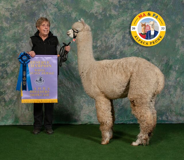Common mistakes alpaca-owners make