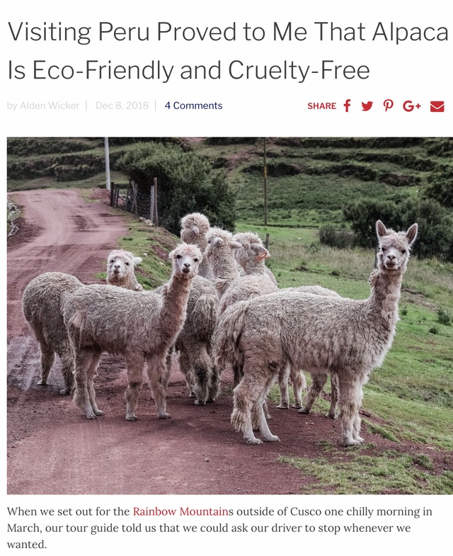 https://ecocult.com/cashmere-is-over-long-live-alpaca/