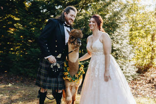 Photo of Weddings and Alpaca Events