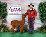 2022 AOA National Alpaca Show 