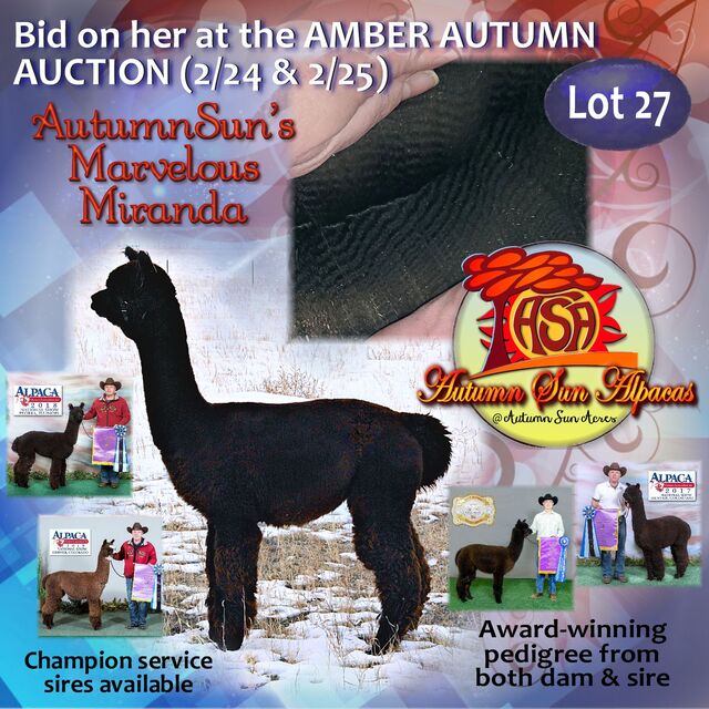 Lot 27 Amber Autumn Auction Feb 24th & 25th