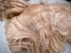 Cria Fleece -- brilliant & soft!