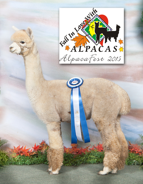 2015 OABA Alpacafest