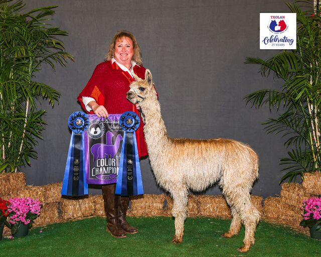 CHAMPION @ her 1st show!