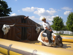 Ride 'Em Cowboy!!!!
