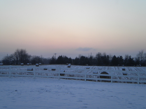 January on the farm