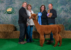 Photo of Liberty Alpacas E Pluribus Unum