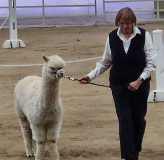 Julie Roy with Tabasco