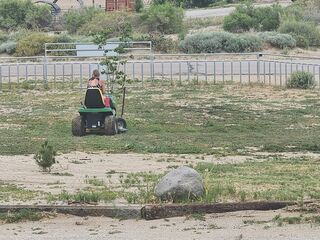 Courtney mowing