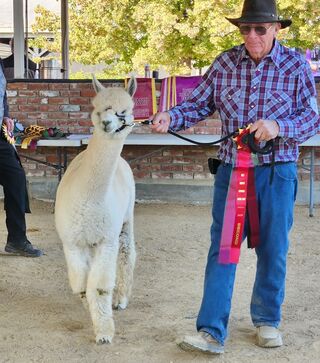 Tabasco at Gold Country Gathering