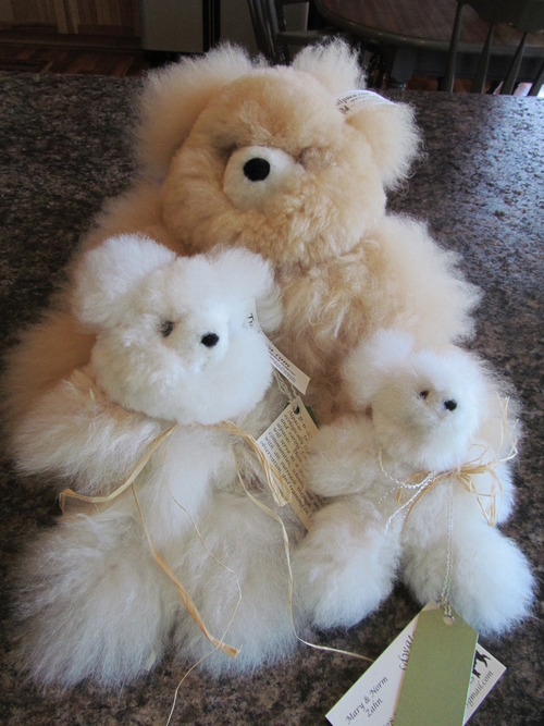 Alpaca teddy bears for sale at our farm store, so soft and cuddly!
