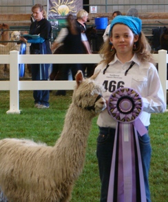 Coquille a Reserve Champion