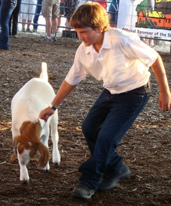 Cody and a Goat