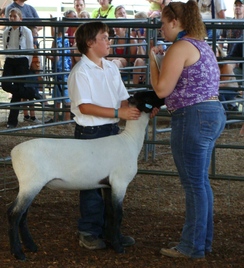 Cody and a Lamb