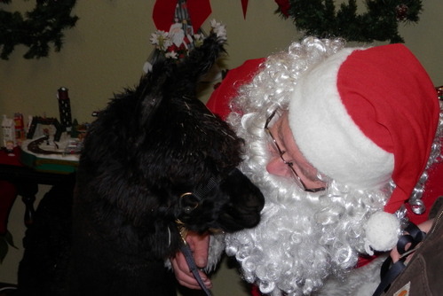 Max meets Santa