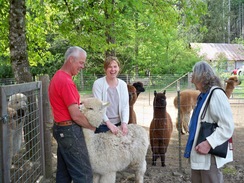 All of us enjoying the farm!