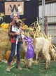 Color Champion at the West Coast Alpaca Show!