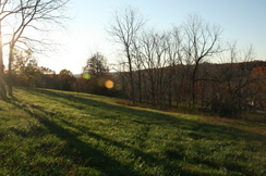 View of the Western Pasture