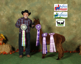 4 ILL Shows - 4 CC/RC Banners and a Judges' Choice as a yearling!!