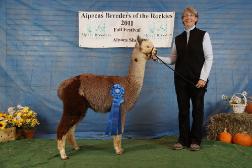 First Show - First Place 2011