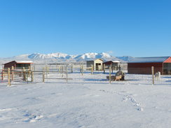 Winter on the ranch!