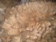 Marksman's cria fleece