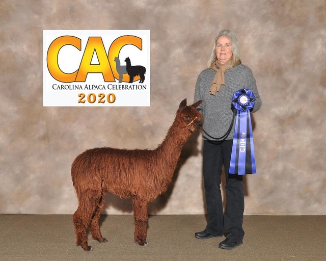 1st Place CAC 2020