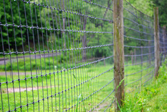 Good fences make good neighbors!