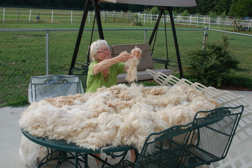 Vickie Skirting a Fleece