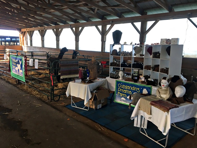Outstanding Dreams Farm's booth