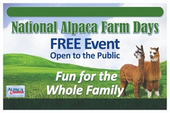 National Alpaca Farm Days to Take Place in Preston, Maryland
