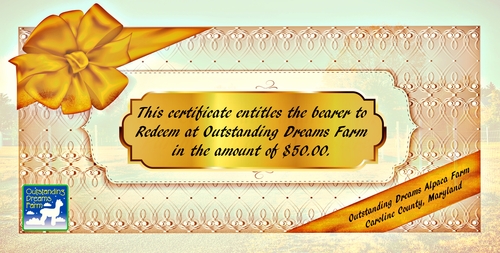 $50.00 Certificate