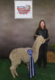2017 Blue Ribbon at Baystate