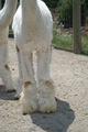 Kay, Front 