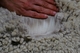 Fleece Shot in Winter