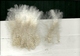 Fleece