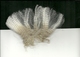 First fleece mid-side