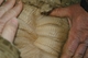 Mid-side fleece
