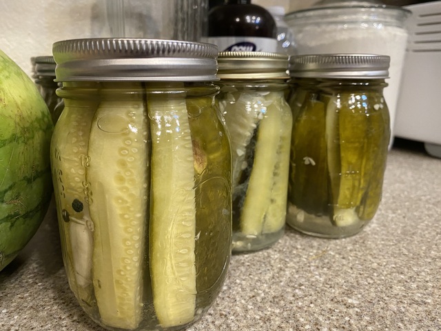 Pickles!  Lots of pickles!