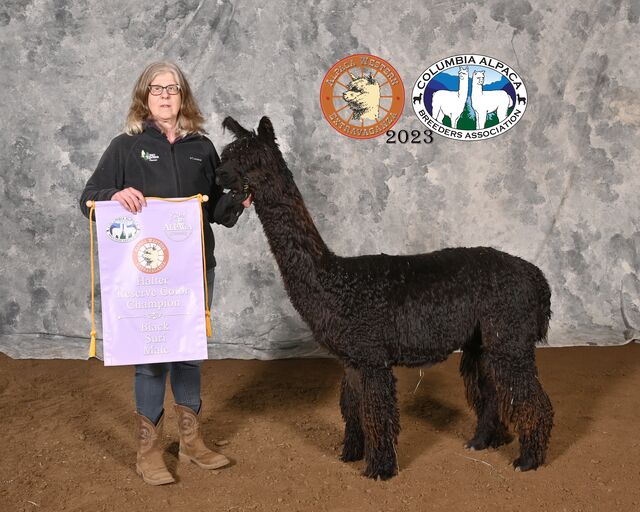 Reserve Champion at 5 years old!