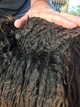 AFD of 15.9 micron in this fleece!!