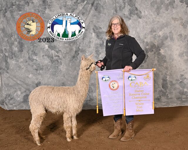 Reserve Champion at 2023 AWE Show