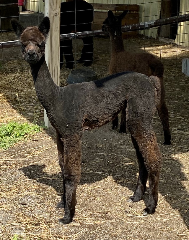 Post cria clipping July 21