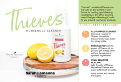 Thieves cleaner (#3743) 
